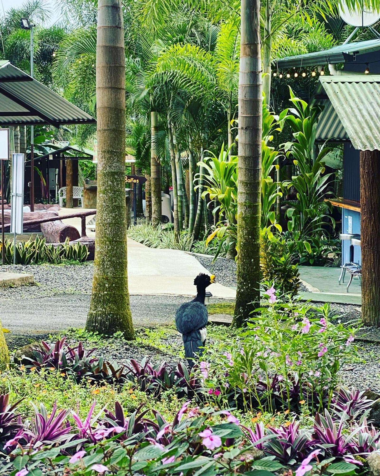 Termales Del Arenal 호텔 La Fortuna 외부 사진